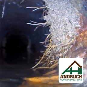 Video Sewer Scope Defect